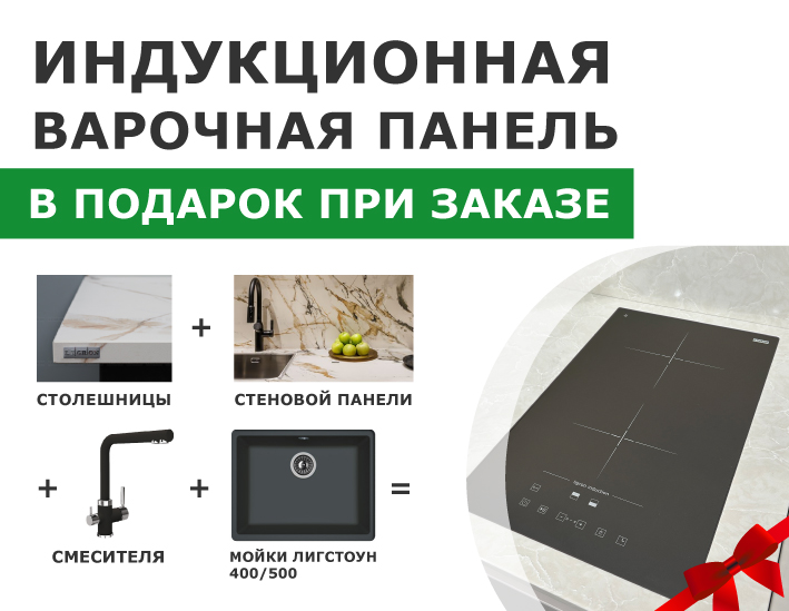 Варочная панель Ligron Induction в подарок!
